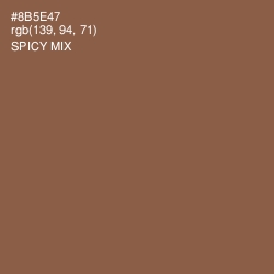 #8B5E47 - Spicy Mix Color Image